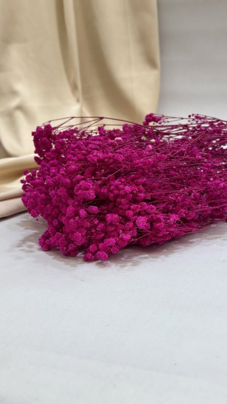 ورد جبسو طبيعي مجفف ( 120 غرام ) 