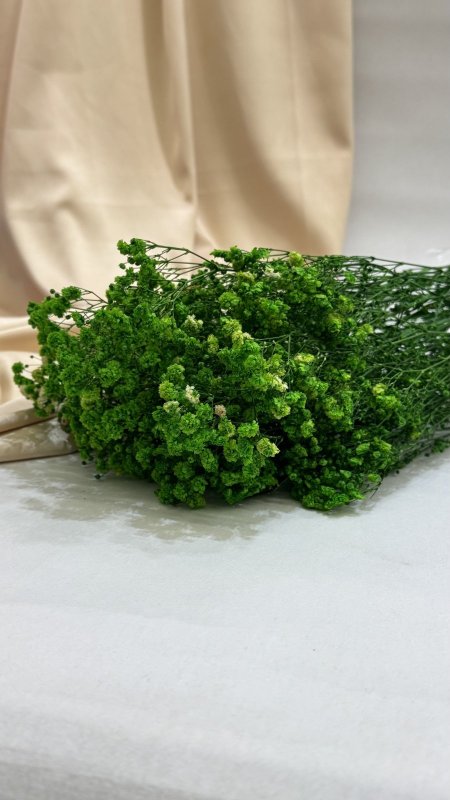 ورد جبسو طبيعي مجفف ( 120 غرام )