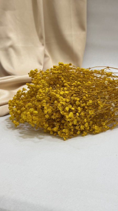 ورد جبسو طبيعي مجفف ( 120 غرام )