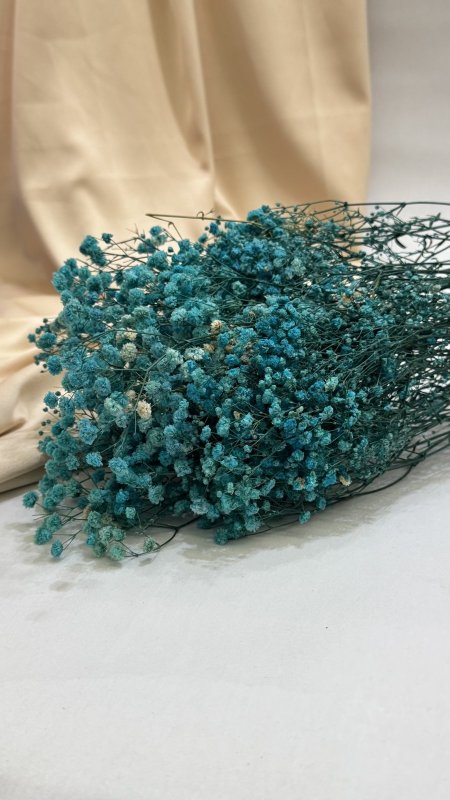 ورد جبسو طبيعي مجفف ( 120 غرام )