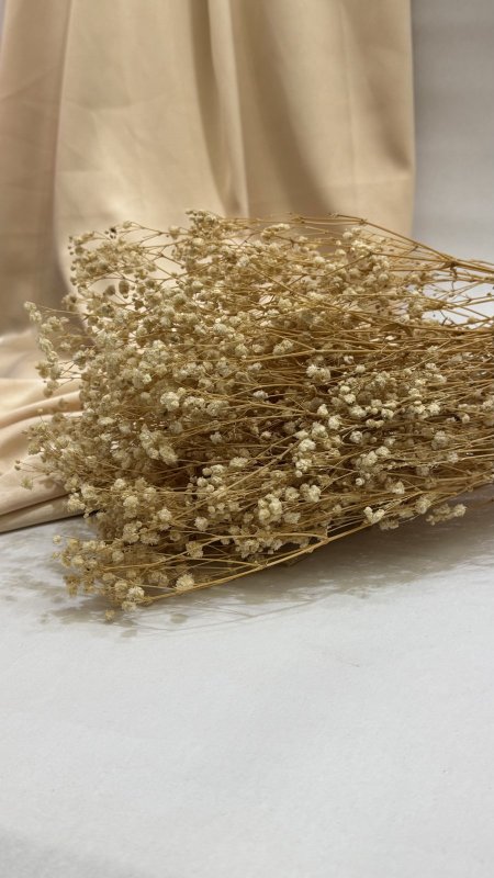 ورد جبسو طبيعي مجفف ( 120 غرام ) 