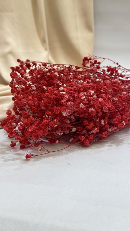 ورد جبسو طبيعي مجفف ( 120 غرام )