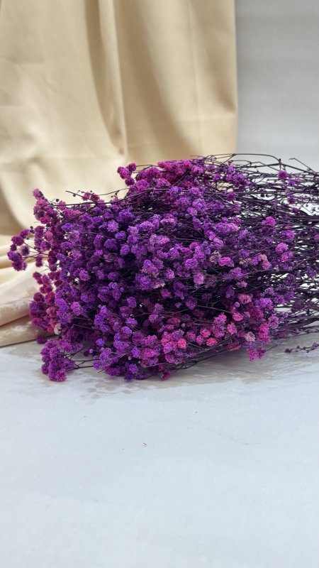 ورد جبسو طبيعي مجفف ( 120 غرام )