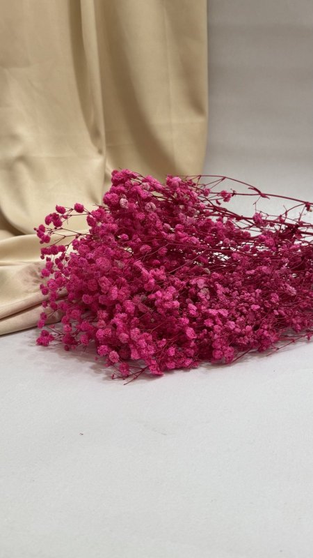 ورد جبسو طبيعي مجفف ( 120 غرام )