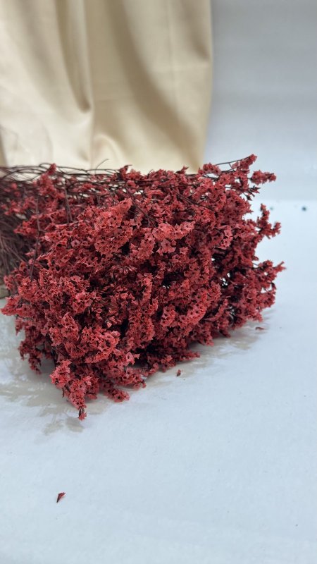 ورد طبيعي مجفف