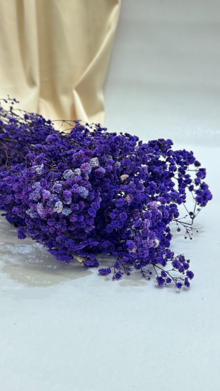 ورد جبسو طبيعي مجفف ( 120 غرام )