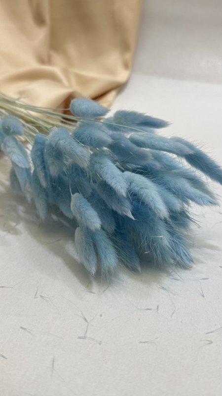 ورد ( ديل الارنب ) طبيعي مجفف